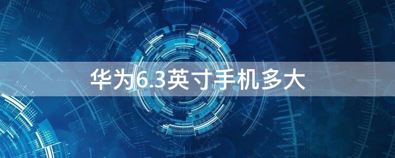 华为6.3英寸手机多大（华为6.1英寸手机多大）