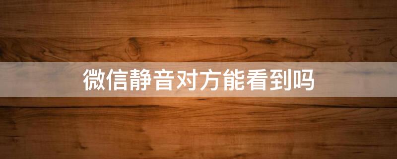 微信静音对方能看到吗 微信静音对方能看到吗怎么设置