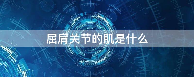 屈肩关节的肌是什么 屈肩关节屈肘关节的肌