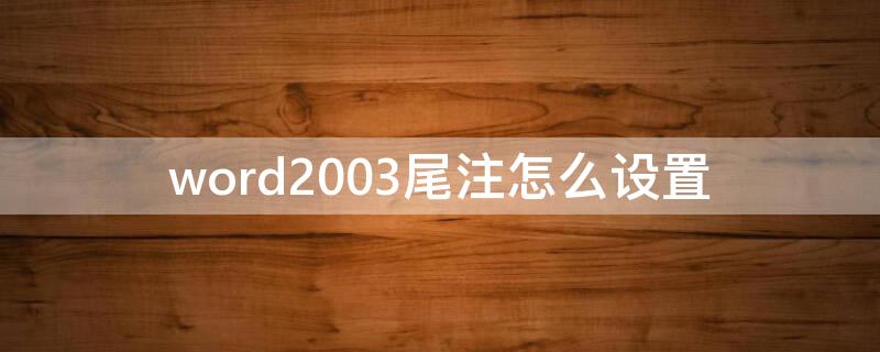 word2003尾注怎么设置（word2007尾注怎么设置）