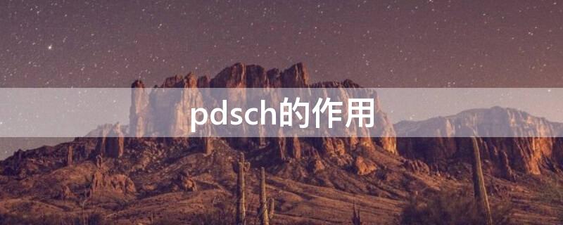pdsch的作用（PDSCH作用）