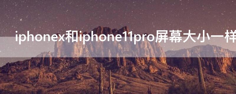 iPhonex和iPhone11pro屏幕大小一样吗（iphone x和11 pro屏幕大小一样吗）