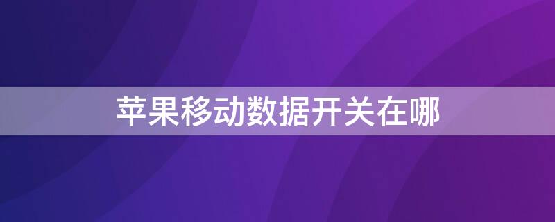 iPhone移动数据开关在哪 iphone开启移动数据