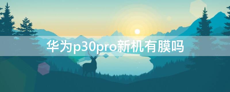 华为p30pro新机有膜吗 新买的华为p30pro有膜吗