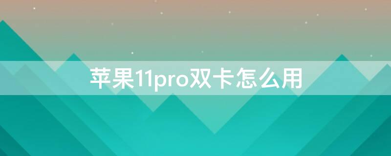 iPhone11pro双卡怎么用（iphone12pro怎么用双卡）