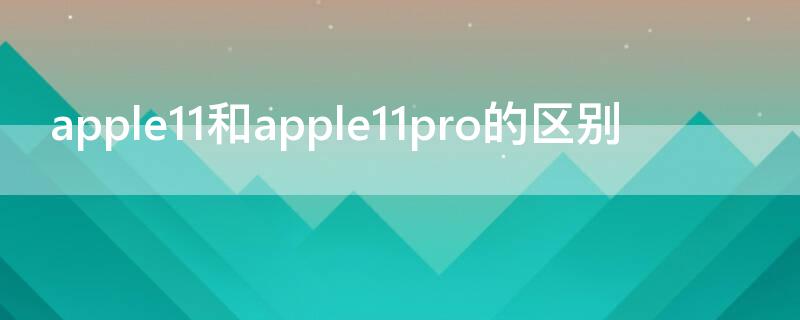 apple11和apple11pro的区别 iphone11pro和iPhone11区别