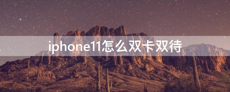 iPhone11怎么双卡双待（iphone11怎么双卡双待双通怎么设置）