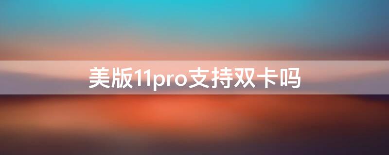 美版11pro支持双卡吗（iphone13pro支持双卡吗）