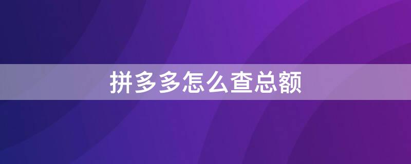 拼多多怎么查总额（拼多多怎么查总额记录）