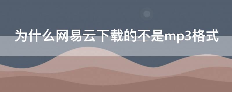 为什么网易云下载的不是mp3格式（为什么网易云下载的不是mp3格式的歌）