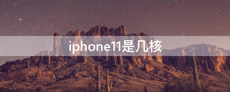 iPhone11是几核（iphone11是几核的）