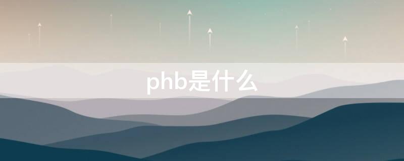 phb是什么（phb是什么手机）