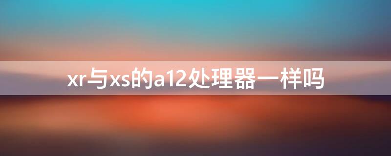 xr与xs的a12处理器一样吗 iphonexr的a12和xs的a12