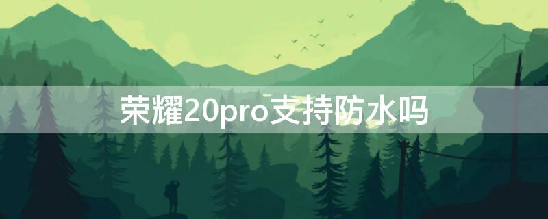 荣耀20pro支持防水吗 荣耀20pro防水吗?