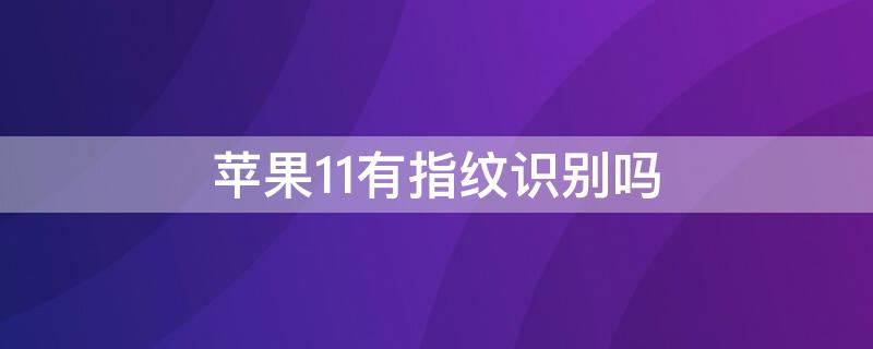 iPhone11有指纹识别吗（iphone 11有指纹吗?）