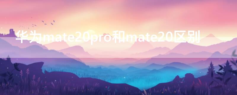 华为mate20pro和mate20区别（华为mate20和mate20 pro哪个更值得买）