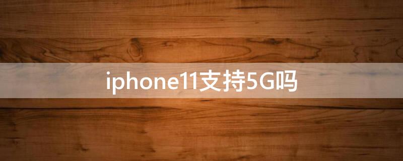 iPhone11支持5G吗 iphone12有5g功能吗