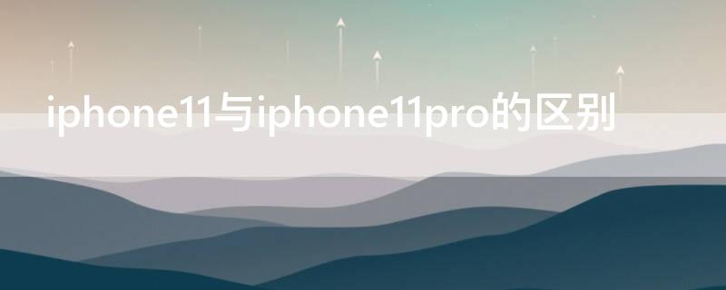iPhone11与iPhone11pro的区别 iphone11和iphone11pro有区别吗