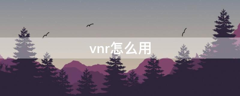 vnr怎么用 vnr怎么用特殊码