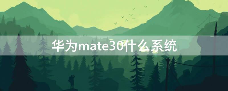 华为mate30什么系统 华为mate30什么系统省电