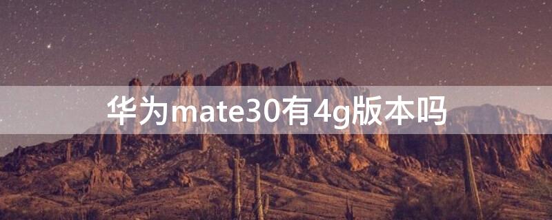 华为mate30有4g版本吗 华为mate30有5g网络吗