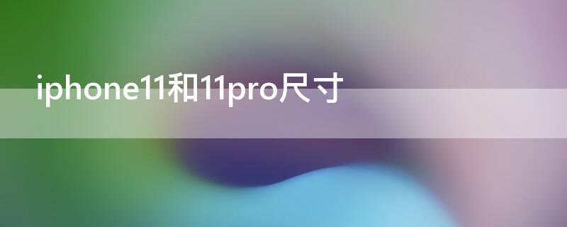 iPhone11和11pro尺寸（iphone11pro和11的尺寸）