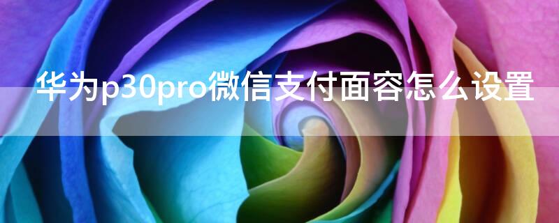 华为p30pro微信支付面容怎么设置（华为p30pro微信支付面容怎么设置的）