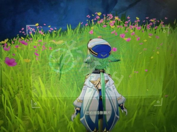 原神蒙德特产在哪 原神蒙德特产照片收集攻略分享
