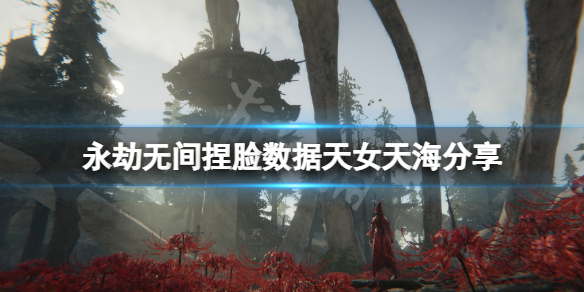 永劫无间捏脸数据天女天海分享（永劫无间天海捏脸数据图）