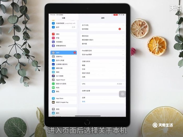 ipad怎么查型号