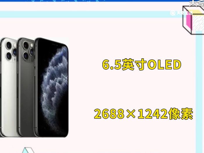 iphone11pro和promax区别