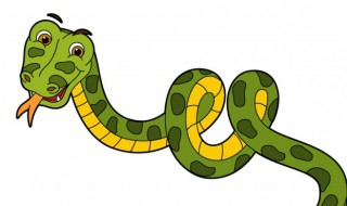 蛇为什么会有两个蛇鞭 蛇是不是有两个鞭