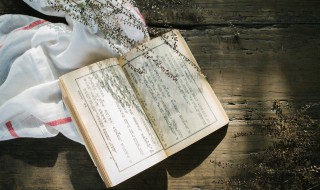 朝花夕拾读书笔记300字 朝花夕拾读书笔记300字5篇