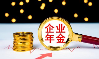 企业年金怎么查询个人账户（企业年金怎么查询个人账户余额桂林银行）