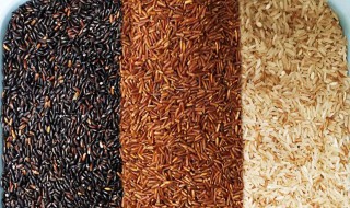 三色糙米和五色糙米区别（三色糙米和四色糙米的区别）
