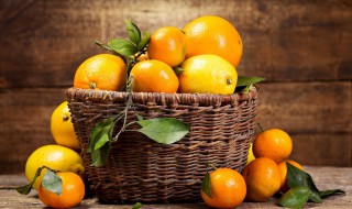 橙子橘子桔子柑子的区别（桔子,柑子和橙子,橘子的区别）