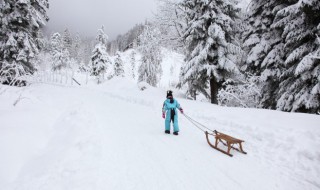 俄罗斯族民居特点（俄罗斯族居住特色）