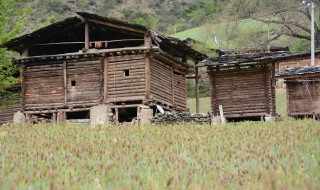 独龙族民居特点（独龙族民俗）