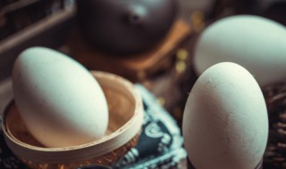 鹅蛋吃法 鹅蛋怎么吃有营养又好吃