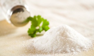 食盐和面粉都可以被水溶解吗 面粉和食盐都可以用搅拌的方法加快溶解