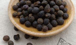 荜澄茄的营养价值（荜澄茄的别名功效）