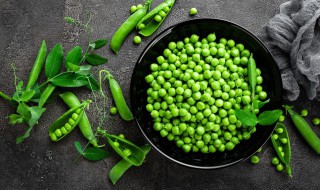豌豆苗的种植方法是什么 豌豆苗怎么培植