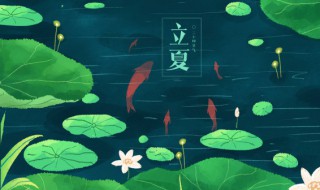 立夏养身小知识 立夏养生应该注意些什么