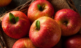 苹果煮熟后是碱性的么 苹果煮熟是不是凉性的