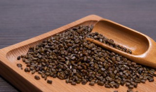 决明子可以泡水喝吗（决明子可以泡水喝吗有没有什么坏处）