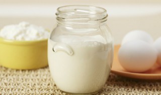 怎么保存发酵酸奶的乳酸菌 乳酸菌如何发酵酸奶