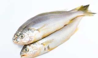 鱼不经过腌制直接晒干会保存多久 鱼要腌多久才可以晒干