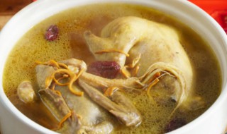 鸽子汤是用冷水还是热水煲（鸽子汤用热水还是冷水炖）