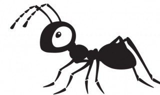 蚂蚁起源于什么时期（蚂蚁最初是什么形成的）