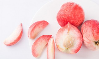 水蜜桃的高产种植技术是什么 水蜜桃种植技术与管理